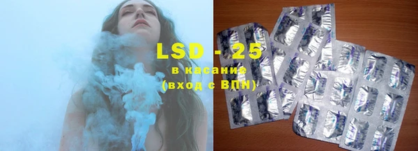 хмурый Алексин