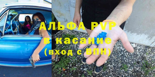 хмурый Алексин