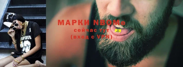 хмурый Алексин
