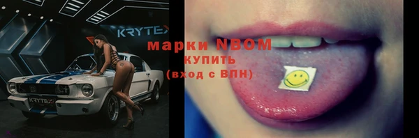 хмурый Алексин